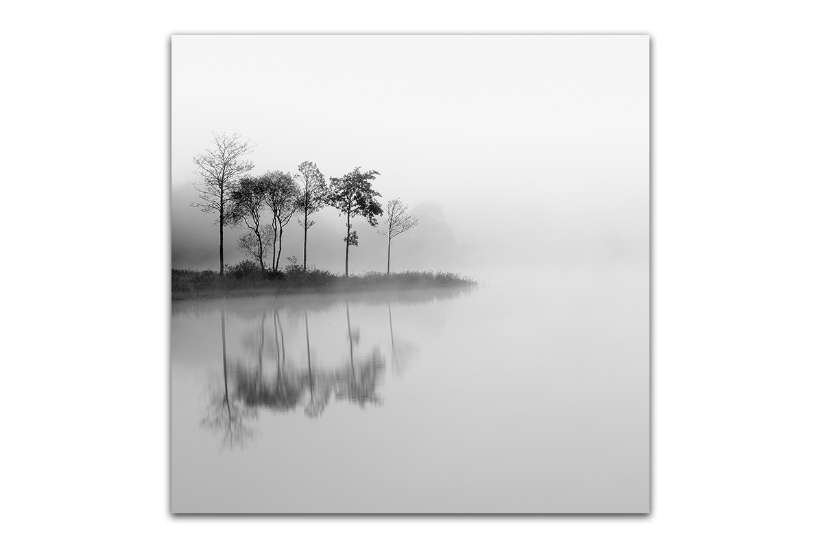 фото Постер Картиномания "Туман" 40 х 40 см, Дерево, Холст