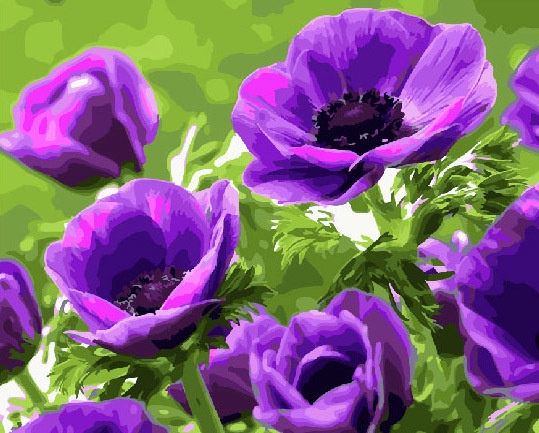 фото Картина по номерам ВанГогВоМне Фиолетовые маки