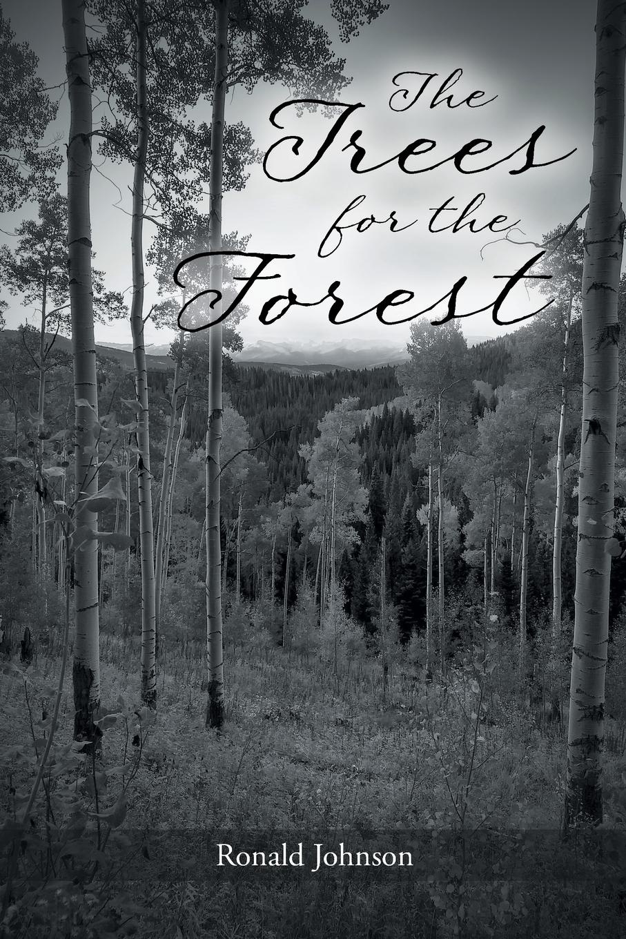 Книга лес. Книга в лесу. Эстетика книг и леса. Серый лес книга. Старая книга в лесу.