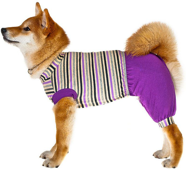 Летняя одежда для собак мелких пород фото