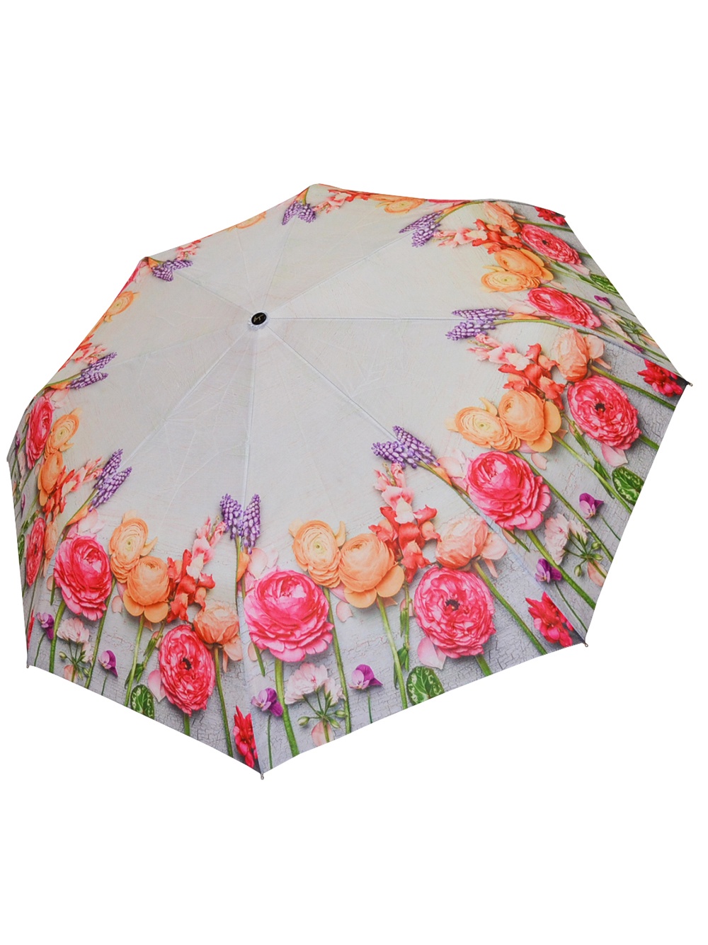 Купить зонтик на озоне. Красивые зонты женские. Зонт японский женский. Зонты 2023. Автоматы с зонтами в Японии.