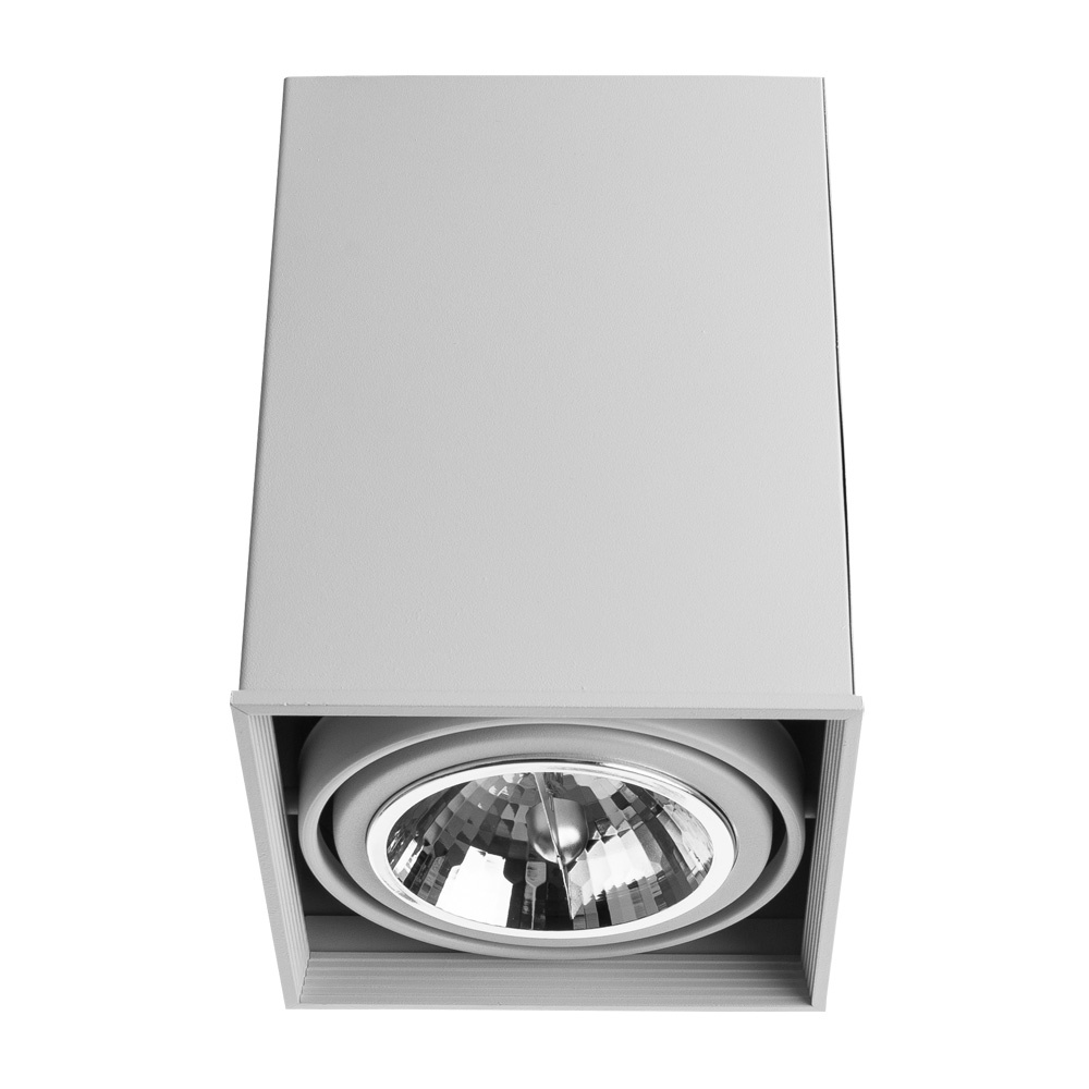 фото Потолочный светильник Arte Lamp A5936PL-1WH, GU5.3, 50 Вт