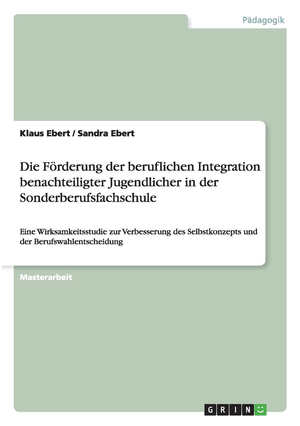 Die Forderung der beruflichen Integration benachteiligter Jugendlicher in der Sonderberufsfachschule