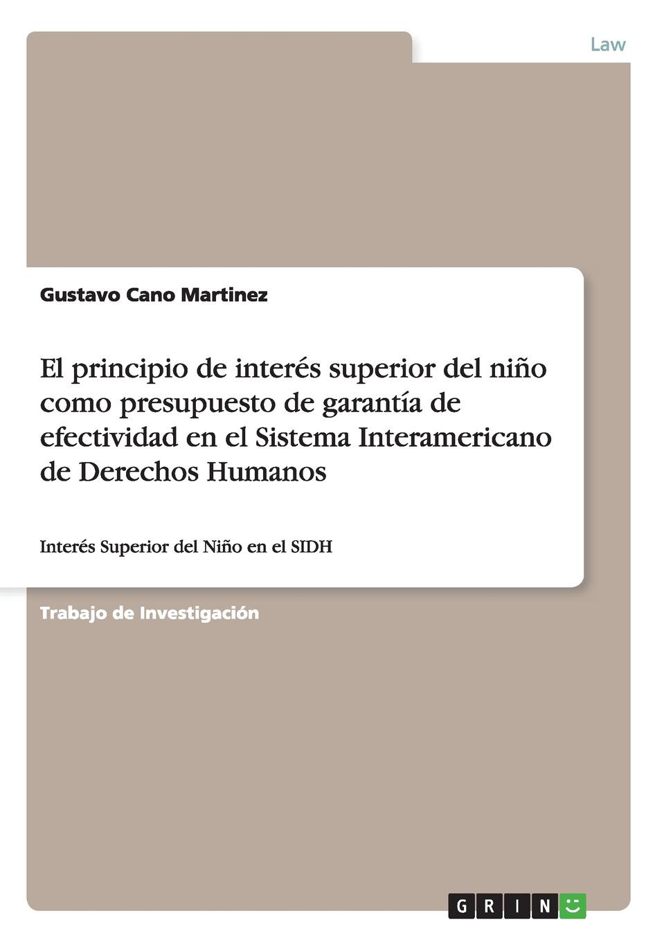 El principio de interes superior del nino como presupuesto de garantia de efectividad en el Sistema Interamericano de Derechos Humanos