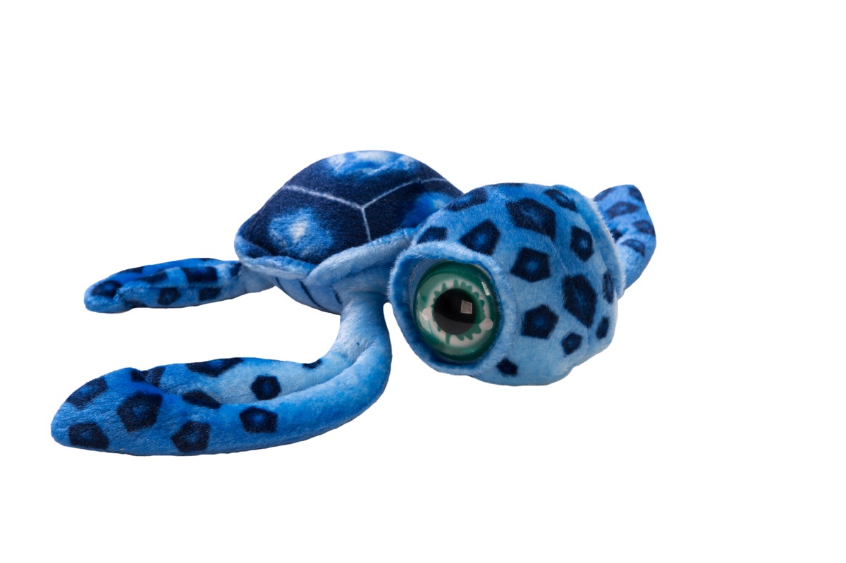 фото АБВГДЕЙКА Мягкая игрушка Черепаха большеглазая, 40 см, синяя