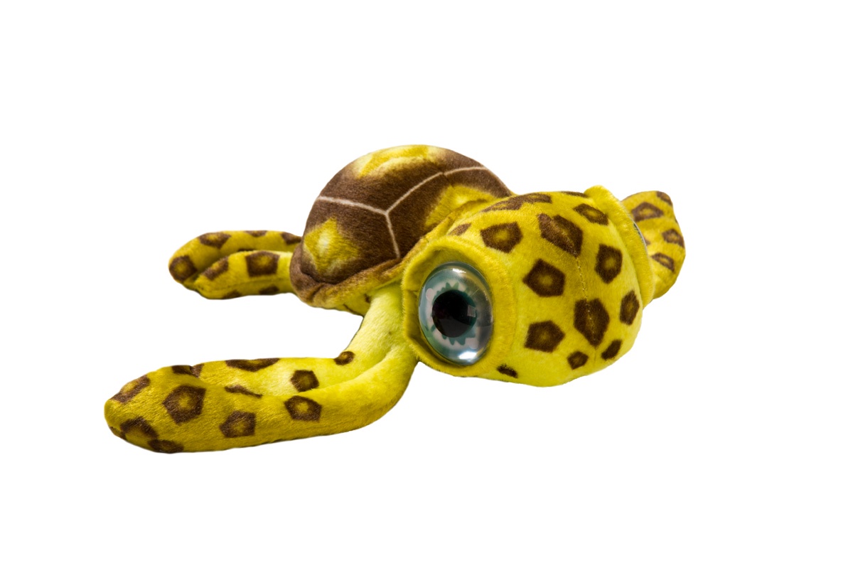 фото АБВГДЕЙКА Мягкая игрушка Черепаха большеглазая, 40 см, салатовая