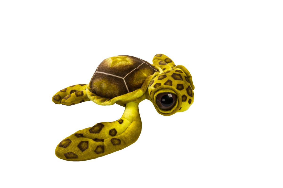 фото АБВГДЕЙКА Мягкая игрушка Черепаха большеглазая, 60 см, салатовая