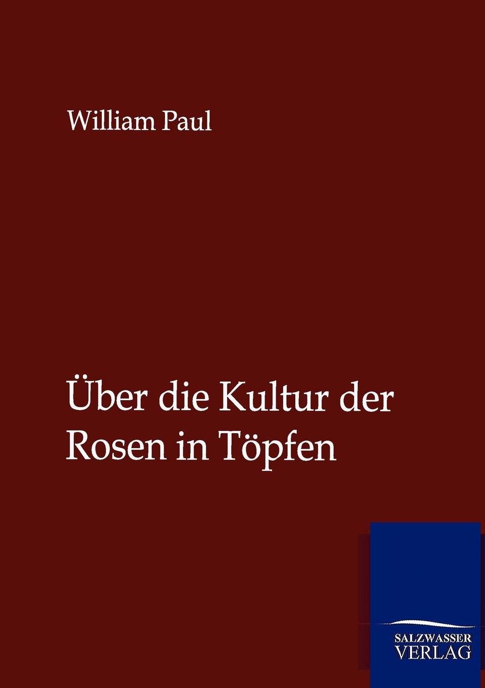 фото Uber die Kultur der Rosen in Topfen