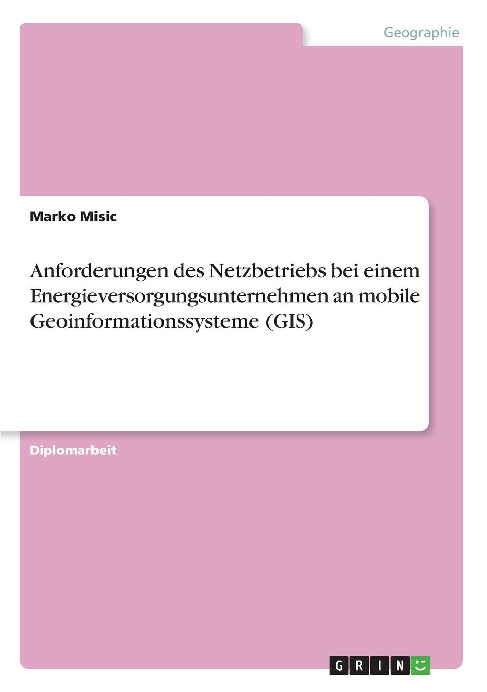 Anforderungen des Netzbetriebs bei einem Energieversorgungsunternehmen an mobile Geoinformationssysteme (GIS)