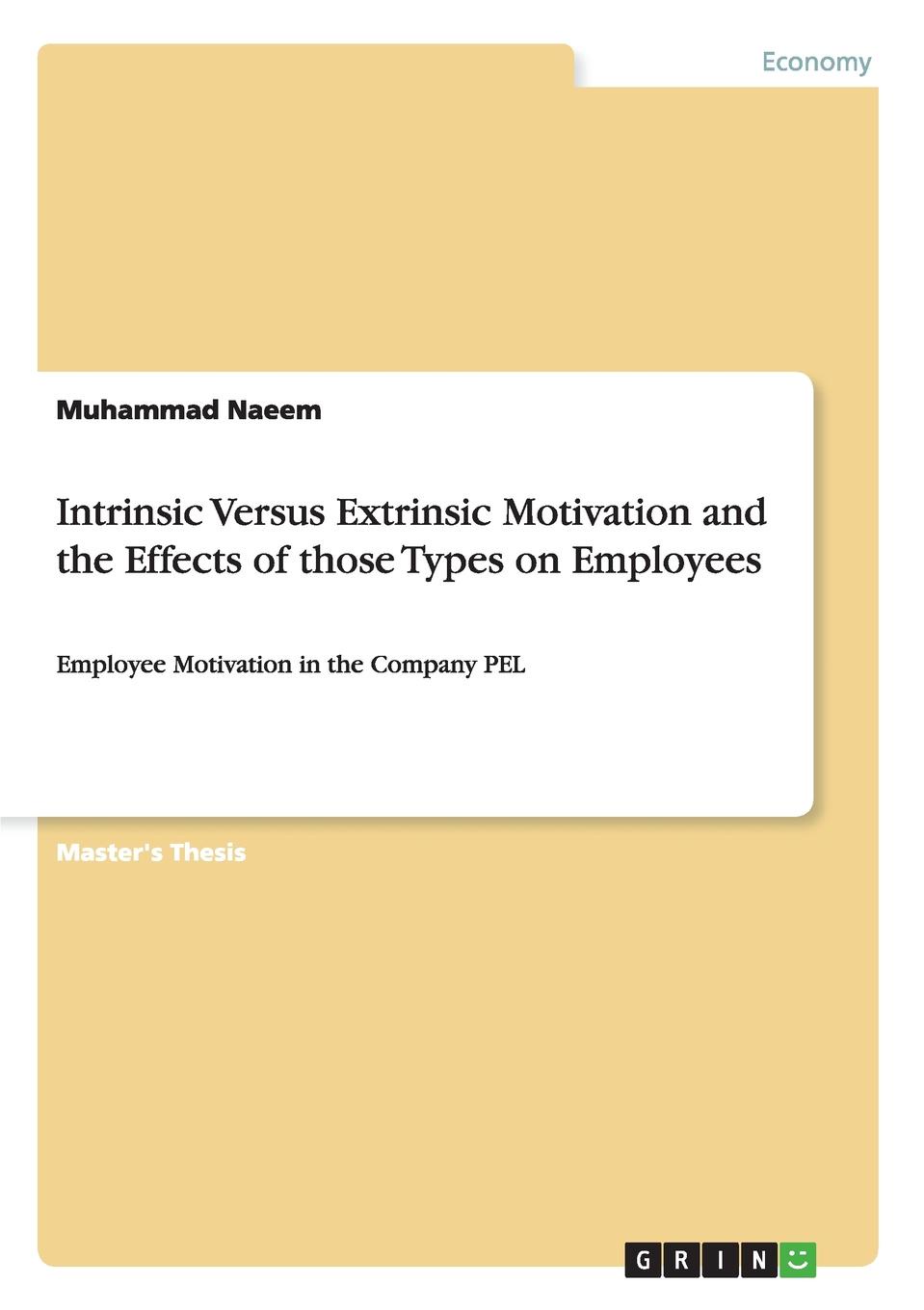 Intrinsic Versus Extrinsic Motivation and the Effects of those Types on Employees