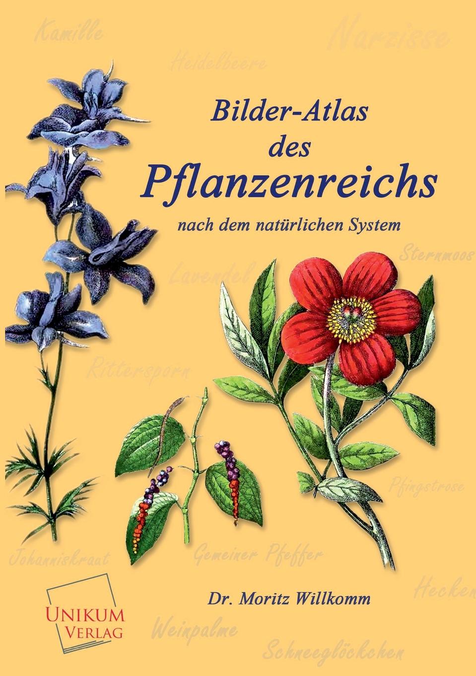 Bilder-Atlas Des Pflanzenreichs