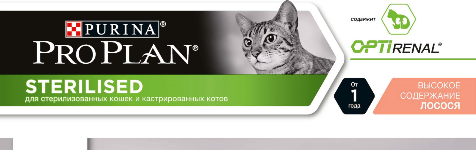 Корм Для Кошек Проплан Интернет Магазин