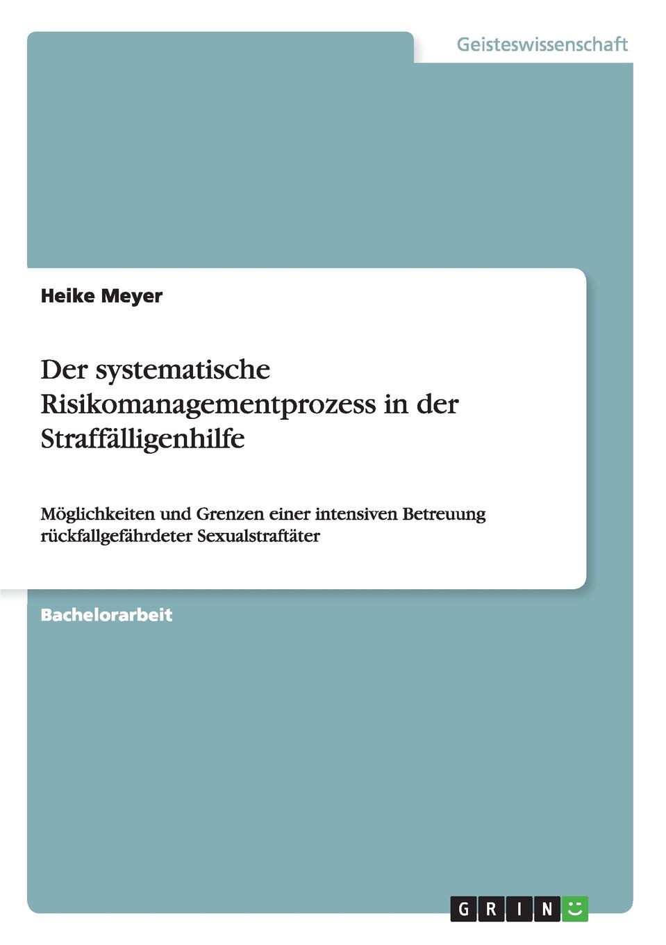 Der systematische Risikomanagementprozess in der Straffalligenhilfe