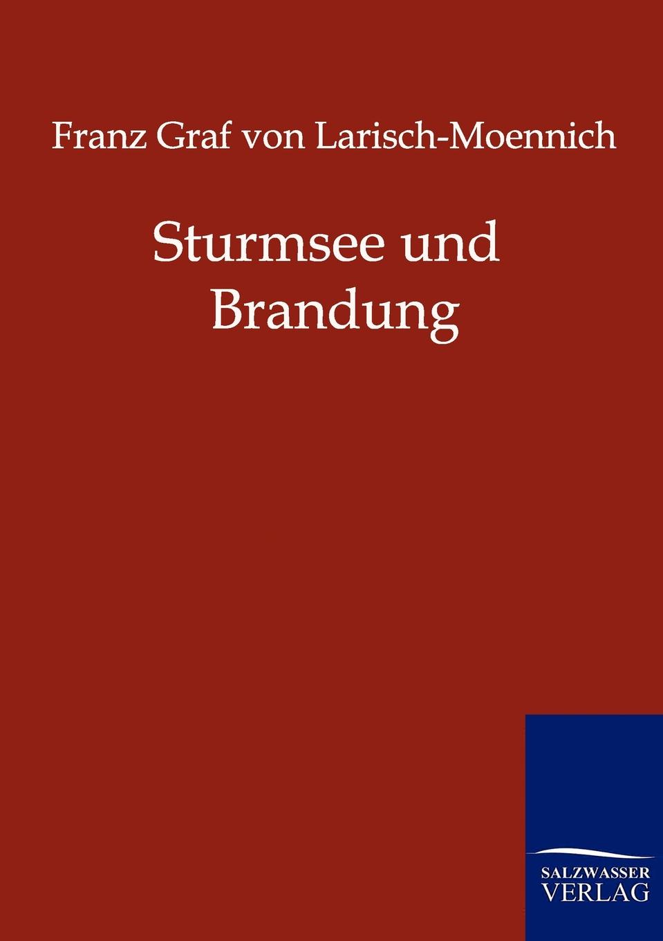 фото Sturmsee und Brandung