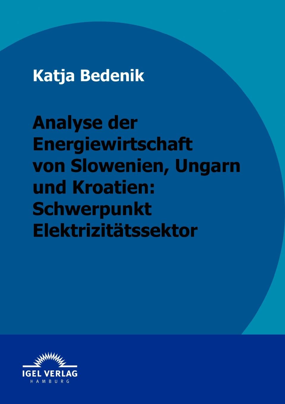 Analyse der Energiewirtschaft von Slowenien, Ungarn und Kroatien. Schwerpunkt Elektrizitatssektor