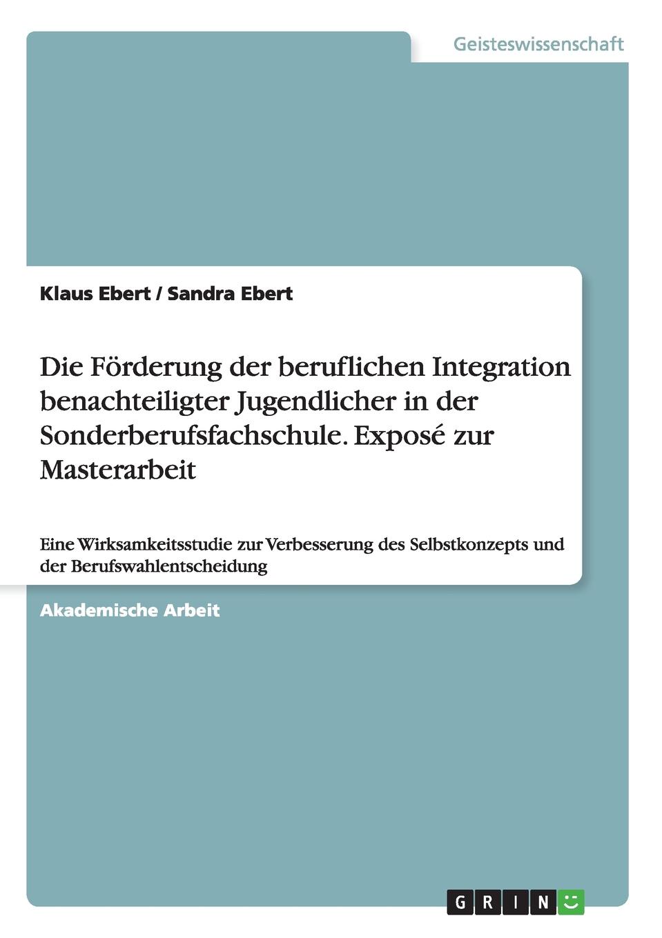 Die Forderung der beruflichen Integration benachteiligter Jugendlicher in der Sonderberufsfachschule. Expose zur Masterarbeit