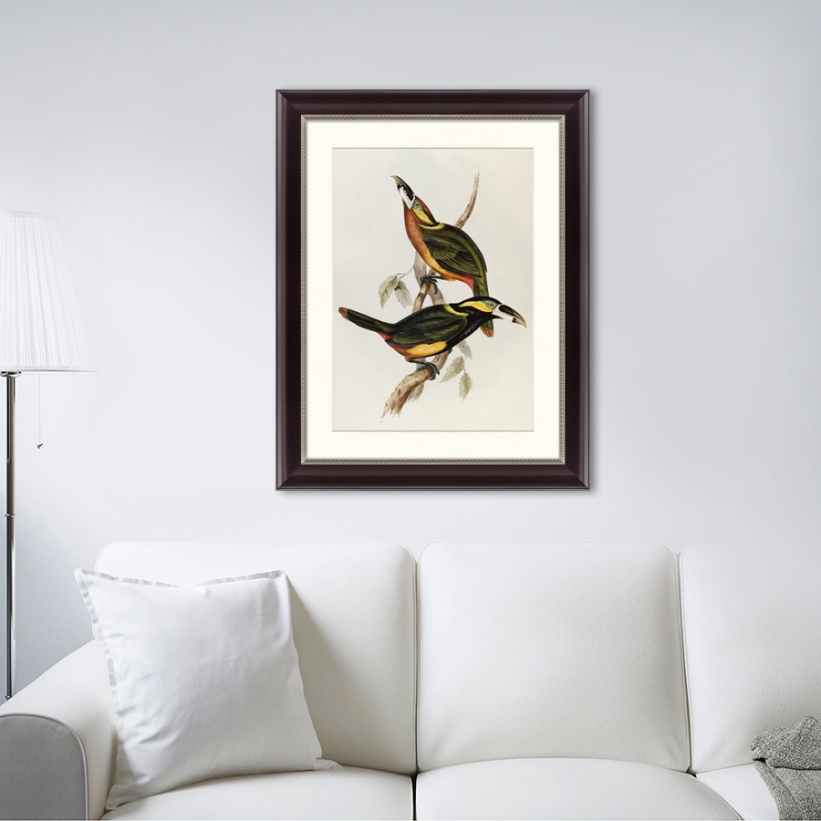 фото Картина Картины В Квартиру Экзотические виды птиц, литография, 1838г, Бумага