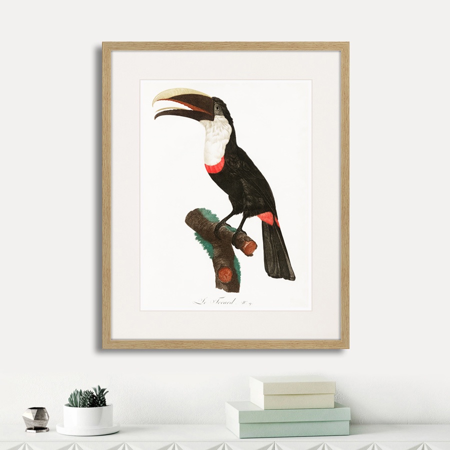 фото Картина Картины В Квартиру Beautiful toucans №2, 1806г., Бумага