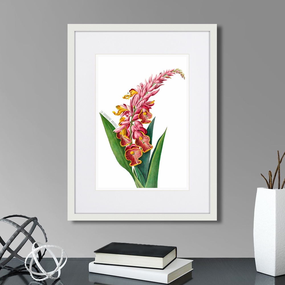 фото Картина Картины В Квартиру Caribian Flora Pink Alpinia, 1740г., Бумага