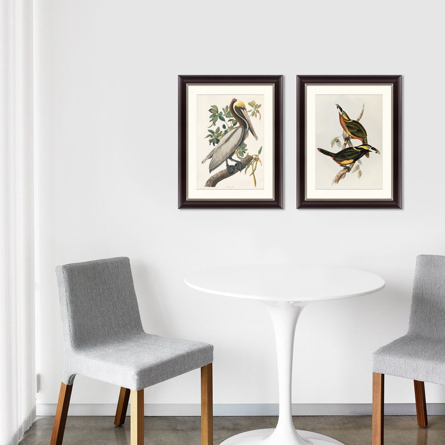 фото Картина Картины В Квартиру Коллекция Экзотические виды птиц (из 2-х картин), Бумага