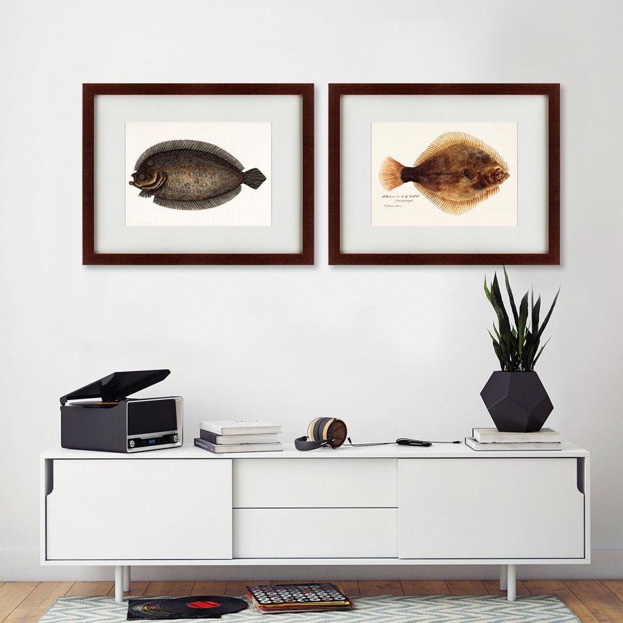 фото Картина Картины В Квартиру Коллекция Sole fish (из 2-х картин), Бумага