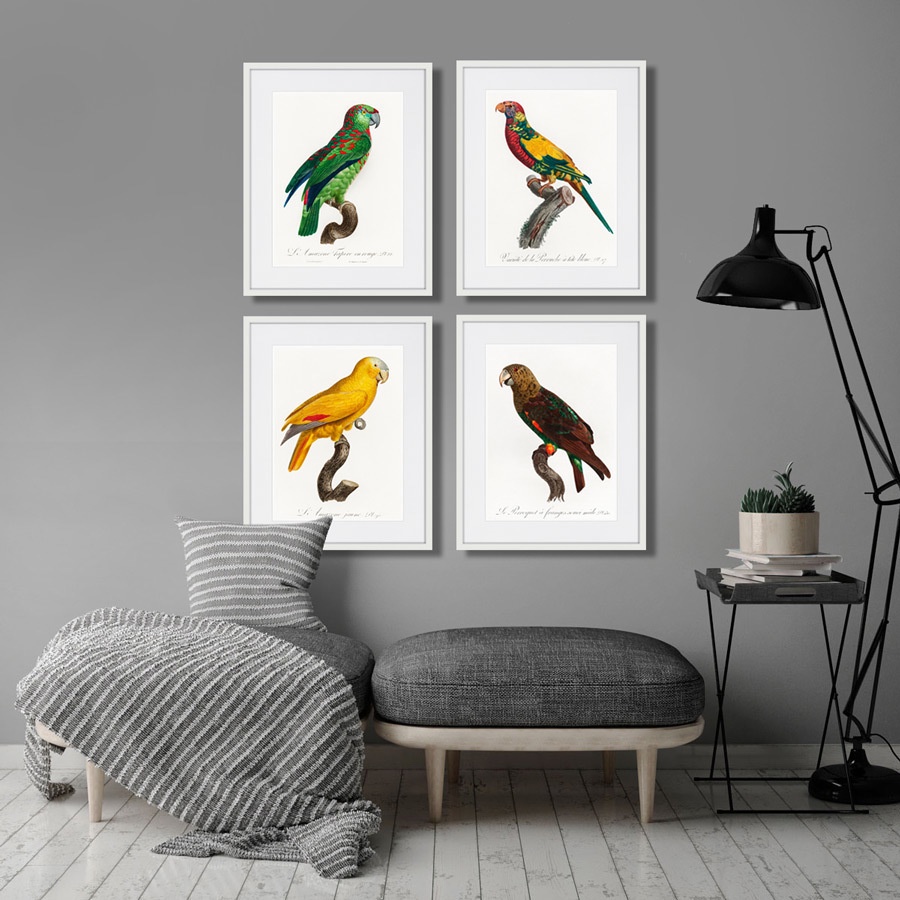 фото Картина Картины В Квартиру Коллекция Beautiful parrots (из 4-х картин), Бумага