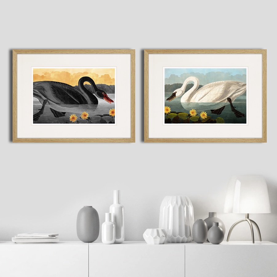 фото Картина Картины В Квартиру Коллекция The swans, pair in love (из 2-х картин), Бумага