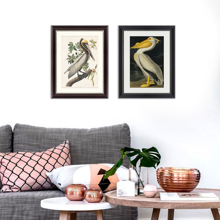 фото Картина Картины В Квартиру Коллекция Американский пеликан (из 2-х картин), Бумага