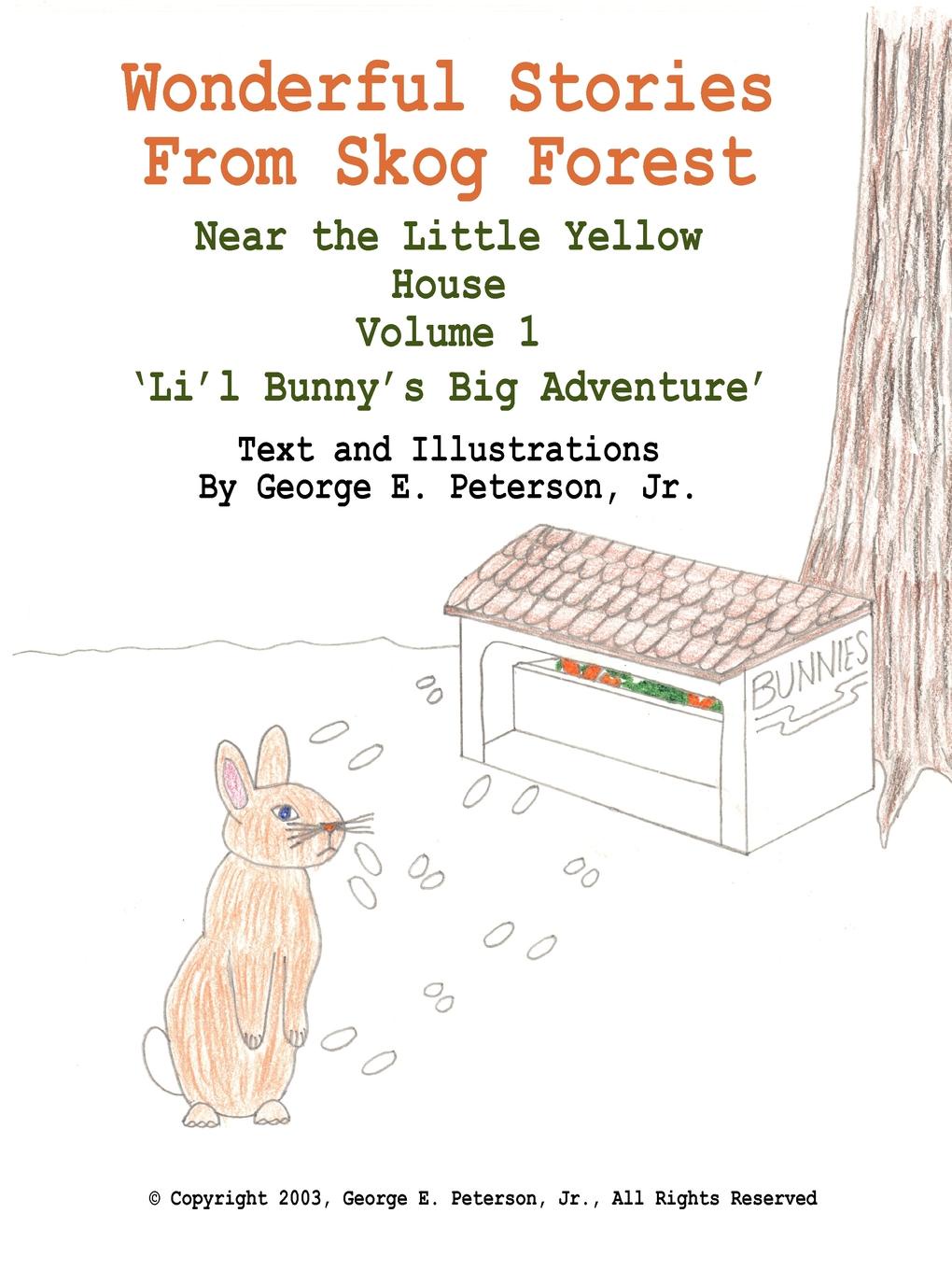 фото Wonderful Stories From Skog Forest. Near the Little Yellow House Volume 1 .Li.l Bunny.s Big Adventure.