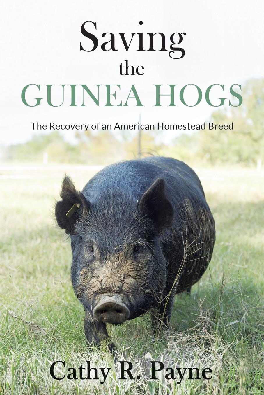 Saving the Guinea Hogs. The Recovery of an American Homestead Breed