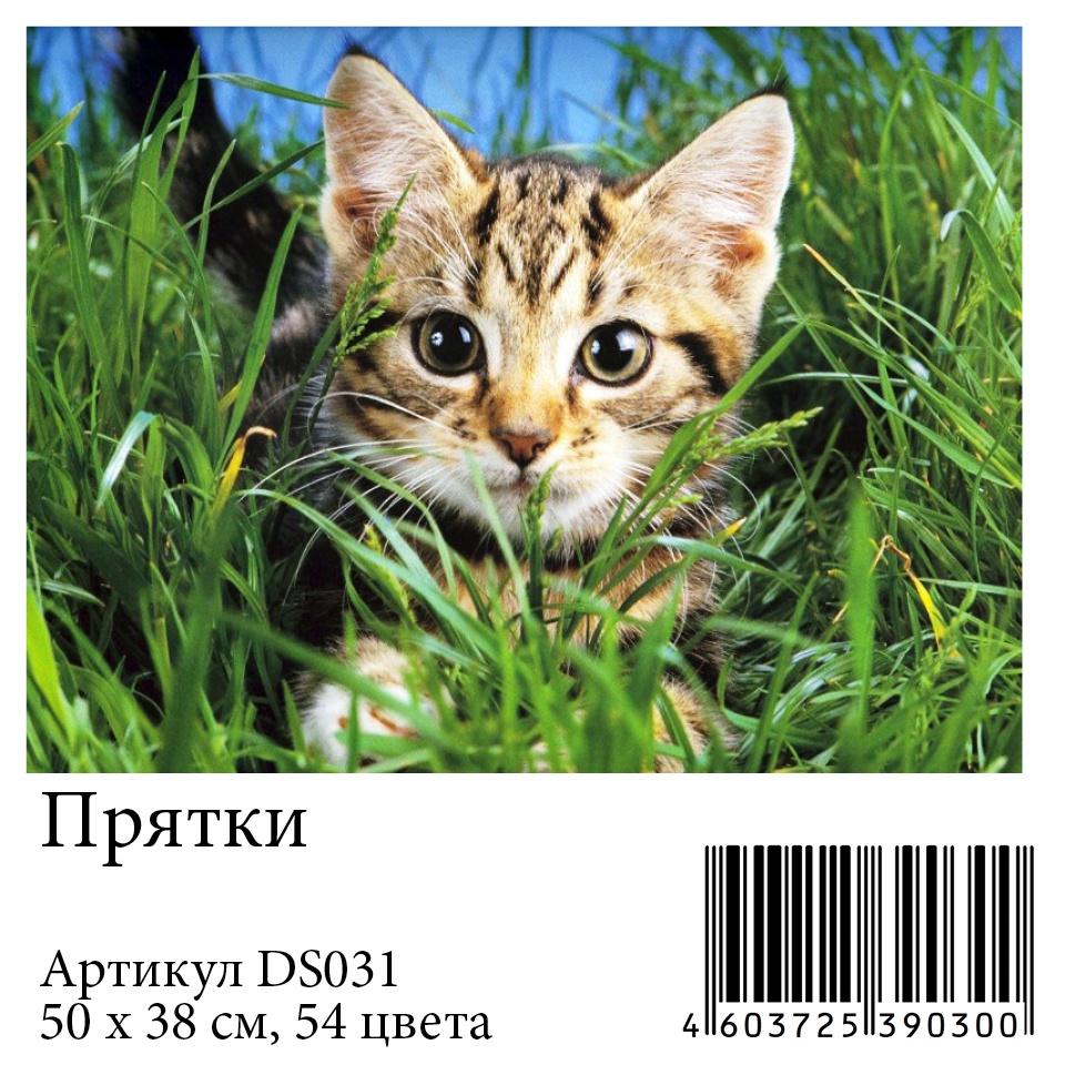 фото Алмазная мозаика Яркие Грани "Прятки" (DS031), размер 50х38см, 54 цвета