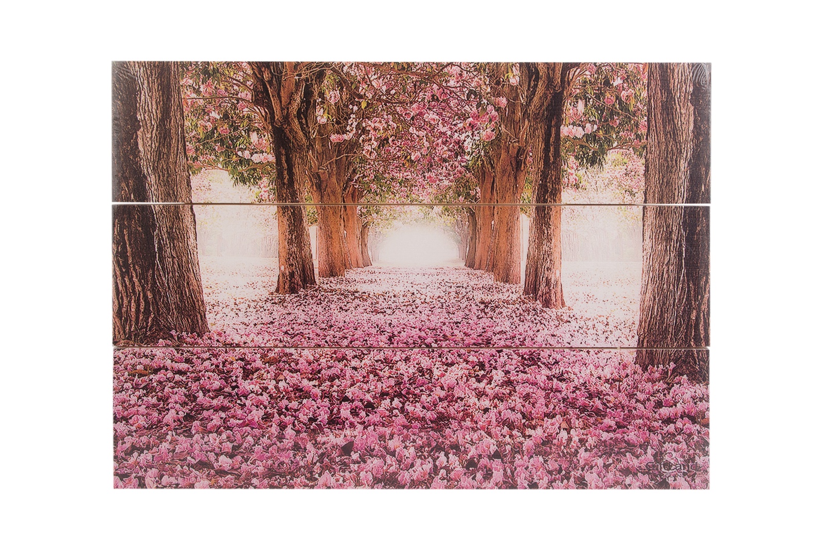 фото Картина Gift'n'Home WP Sakura, Дерево