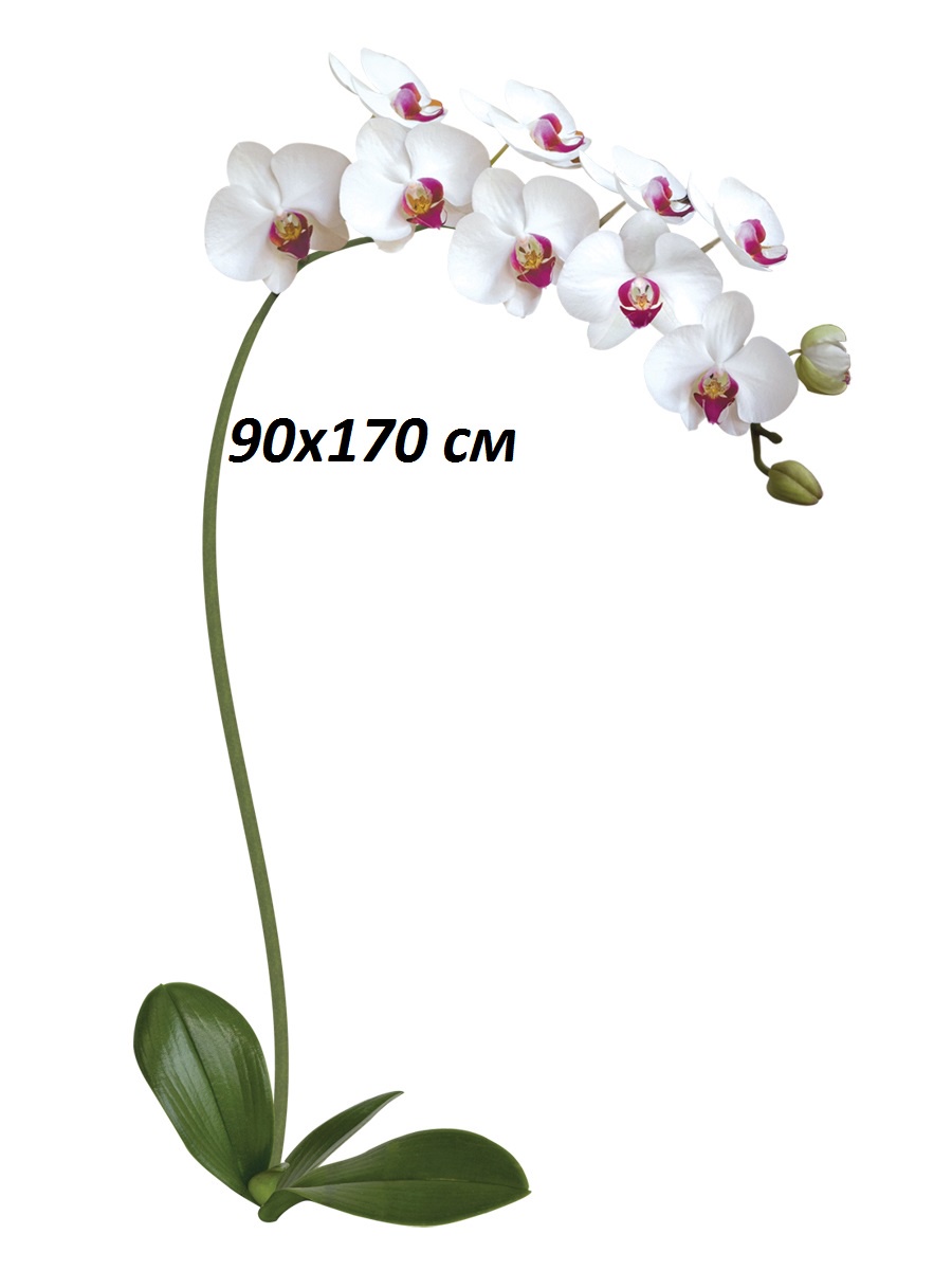 фото Наклейка для декора Белая Орхидея Decoretto