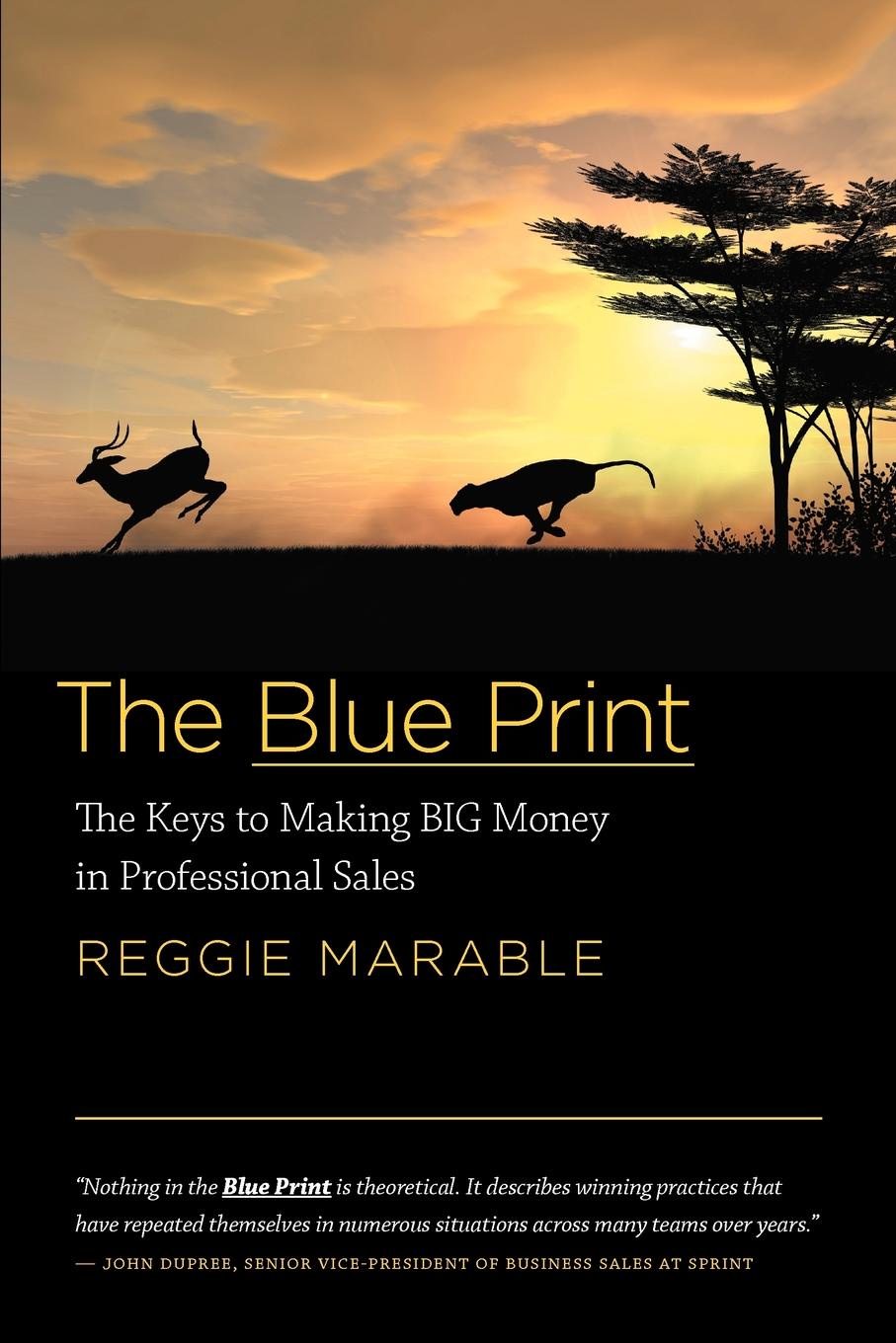 фото The Blue Print. The Keys to Making BIG Money in Professional Sales