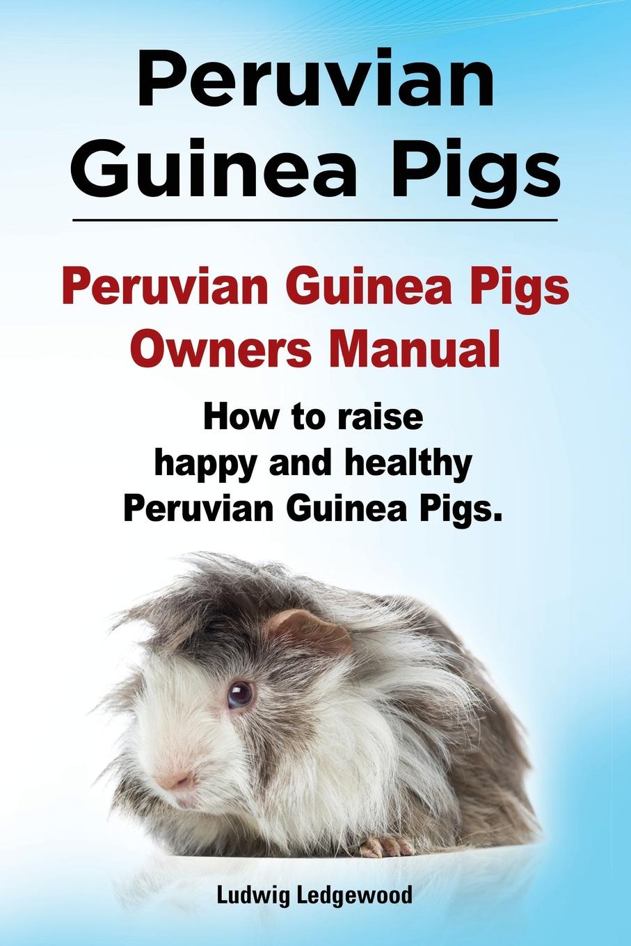 Ludwig Ledgewood Peruvian Guinea Pigs. Peruvian Guinea Pigs Owners Manual. How to raise happy and healthy Peruvian Guinea Pigs. Ludwig Ledgewood Peruvian Guinea Pigs. Peruvian Guinea Pigs Owners Manual. How to raise happy and healthy Peruvian Guinea Pigs.
