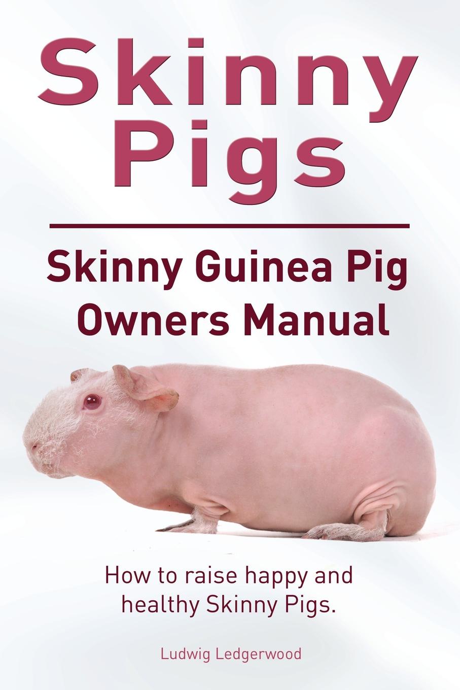 Ludwig Ledgerwood Skinny Pig. Skinny Guinea Pigs Owners Manual. How to raise happy and healthy Skinny Pigs. Ludwig Ledgerwood Skinny Pig. Skinny Guinea Pigs Owners Manual. How to raise happy and healthy Skinny Pigs.