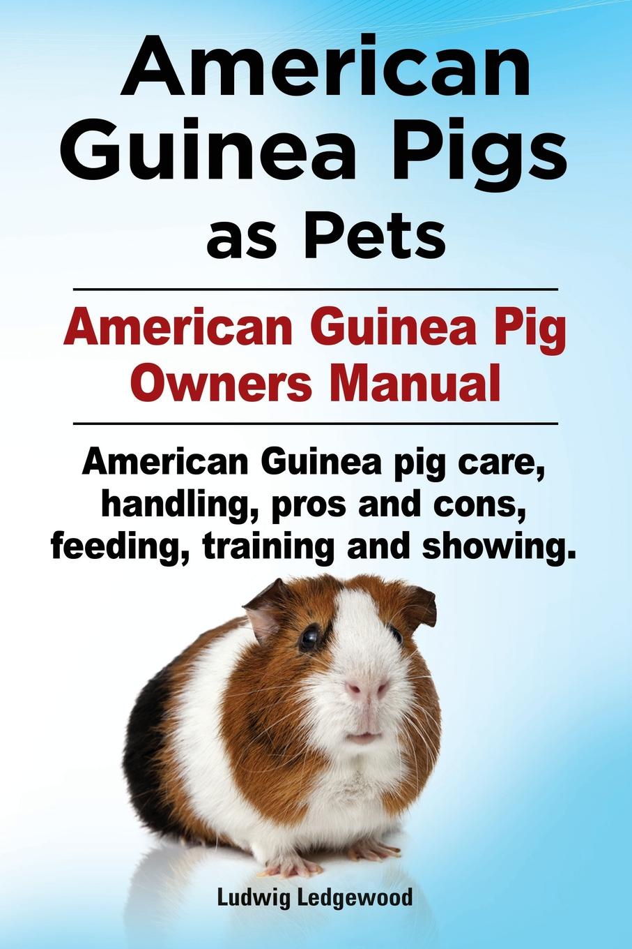 Ledgewood Ludwig American Guinea Pigs as Pets. American Guinea Pig Owners Manual. American Guinea pig care, handling, pros and cons, feeding, training and showing. Ledgewood Ludwig American Guinea Pigs as Pets. American Guinea Pig Owners Manual. American Guinea pig care, handling, pros and cons, feeding, training and showing.