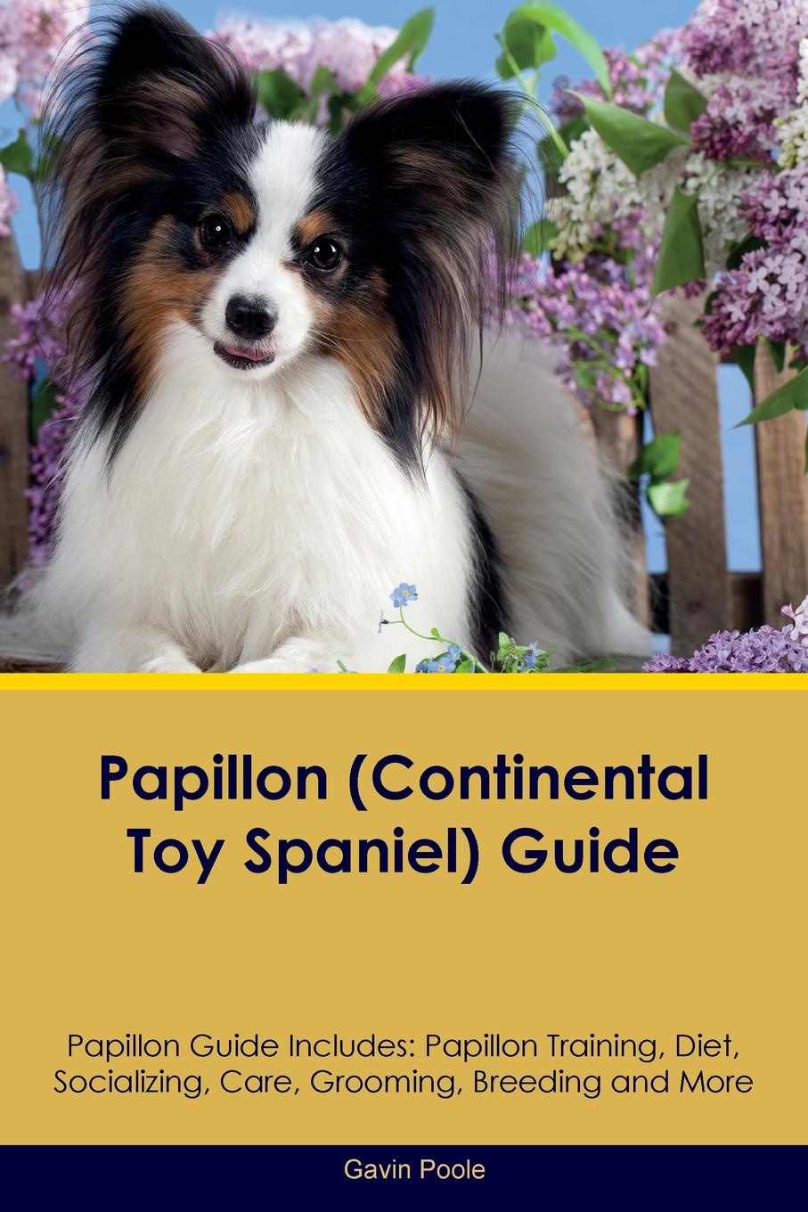 Gavin Poole Papillon (Continental Toy Spaniel) Guide Papillon Guide Includes. Papillon Training, Diet, Socializing, Care, Grooming, Breeding and More