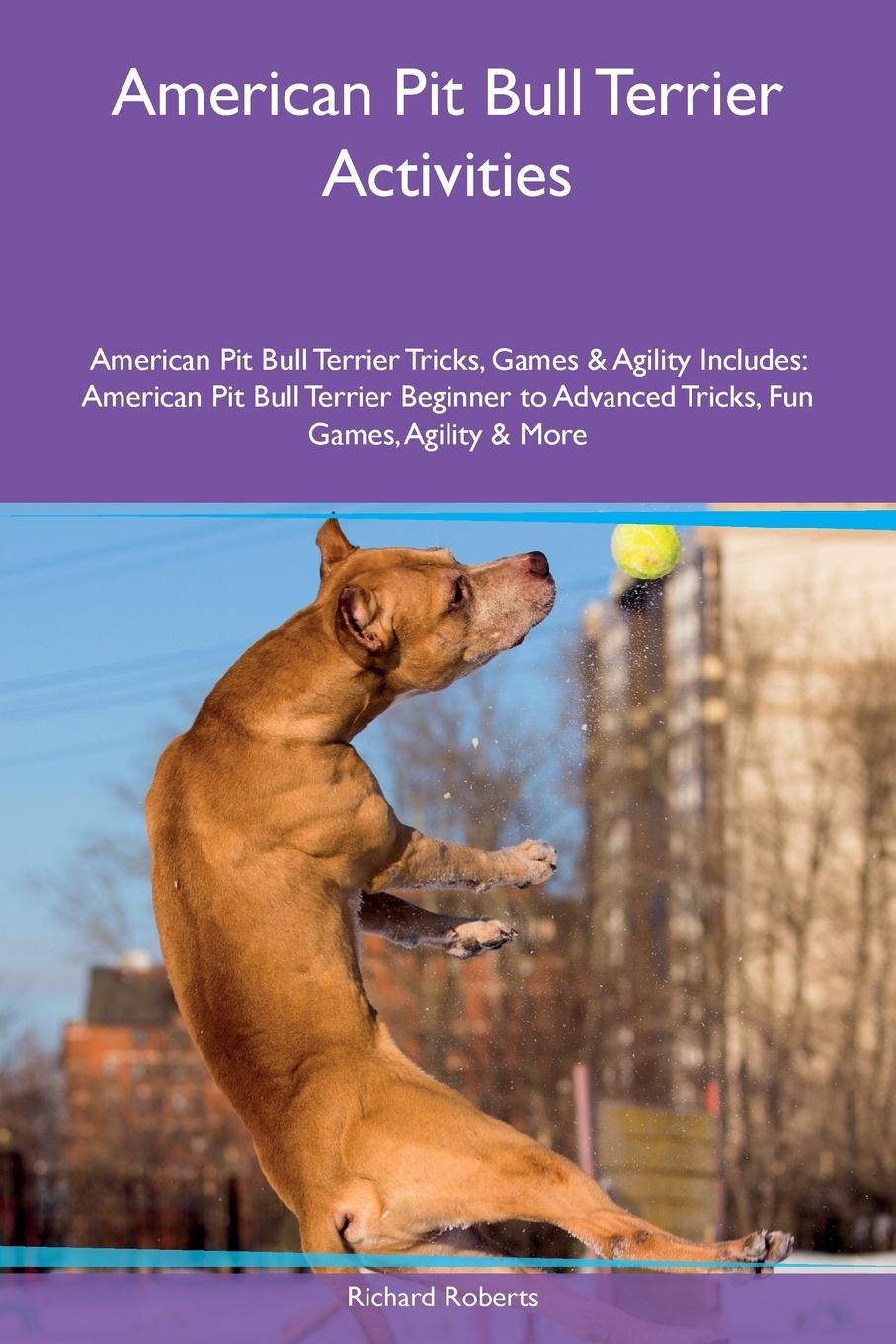 Richard Roberts American Pit Bull Terrier Activities American Pit Bull Terrier Tricks, Games . Agility Includes. American Pit Bull Terrier Beginner to Advanced Tricks, Fun Games, Agility . More Richard Roberts American Pit Bull Terrier Activities American Pit Bull Terrier Tricks, Games . Agility Includes. American Pit Bull Terrier Beginner to Advanced Tricks, Fun Games, Agility . More