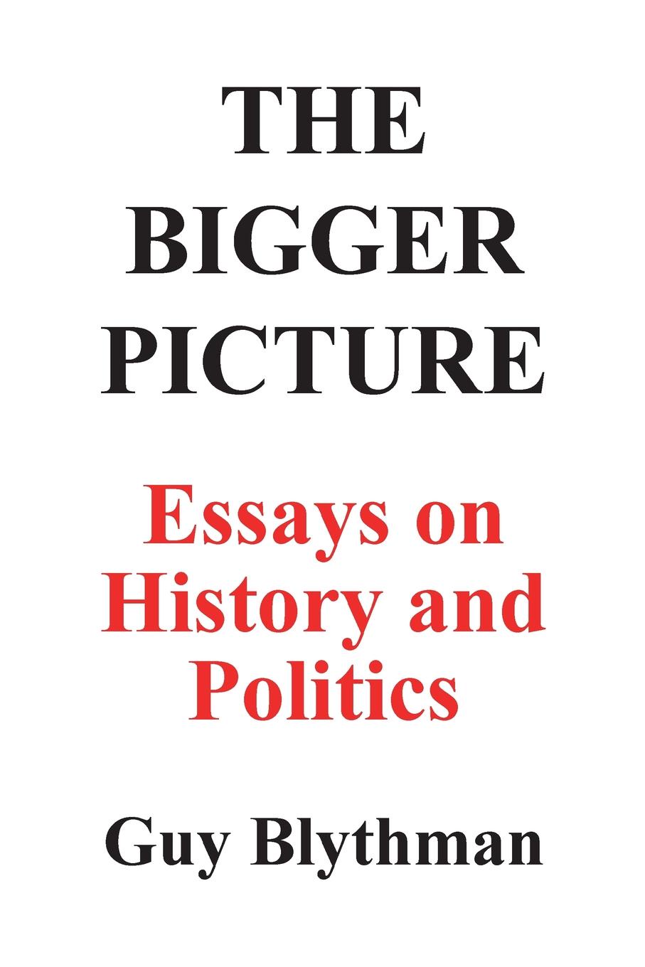 The Bigger Picture. Essays on History and Politics