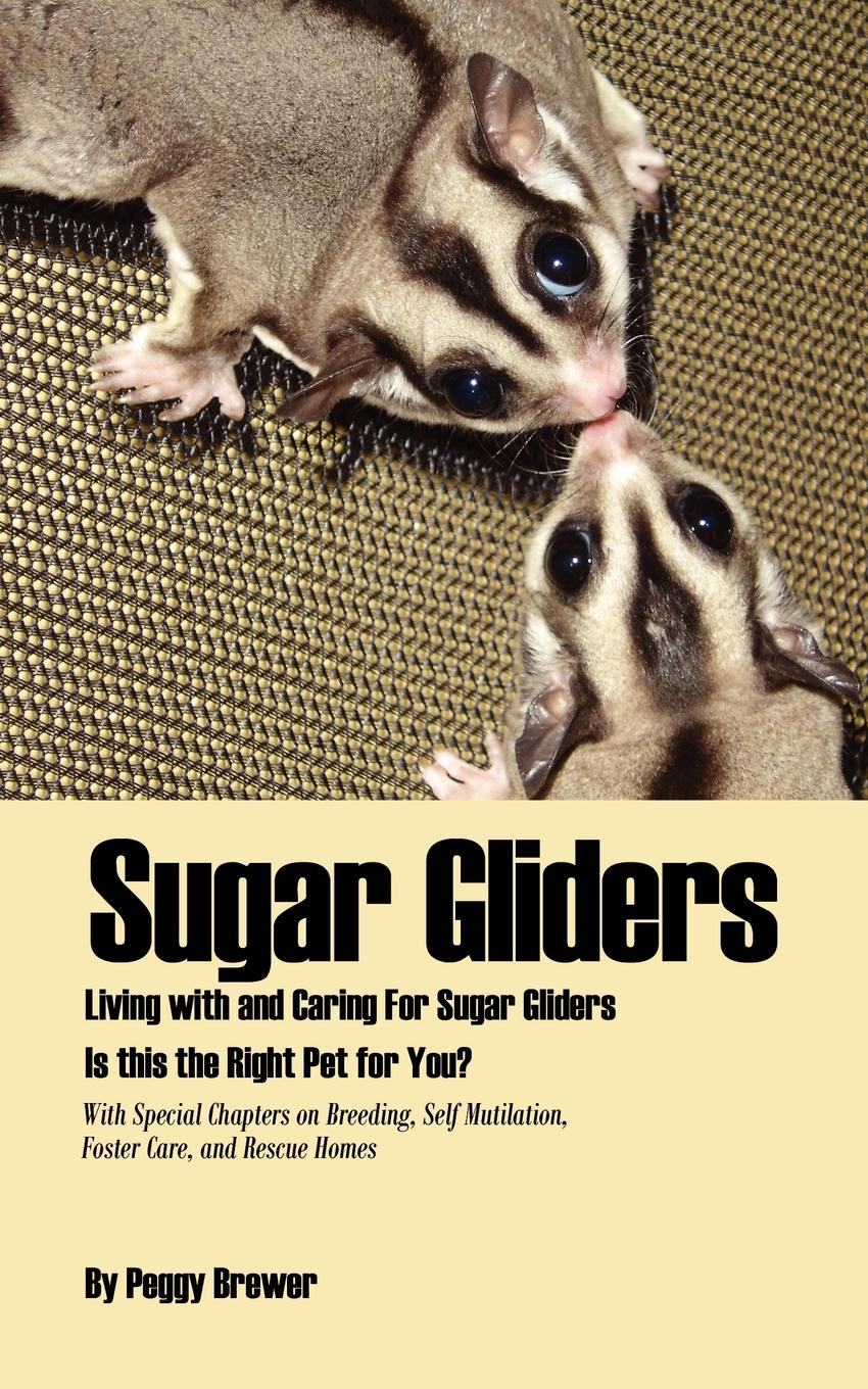 Peggy Brewer Sugar Gliders. Living with and Caring for Sugar Gliders Is This the Right Pet for You.