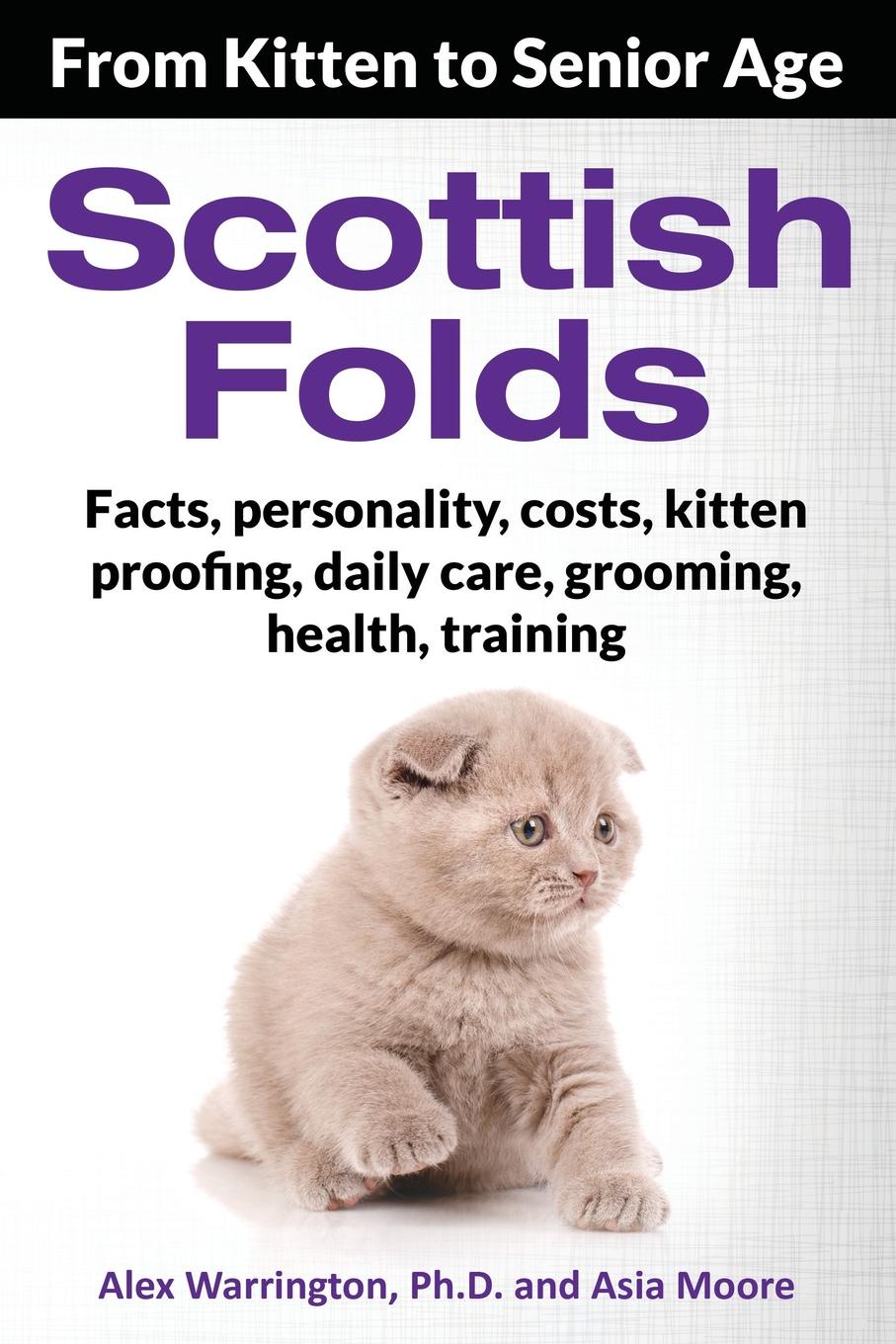 Scottish Folds. From Kitten to Senior Age