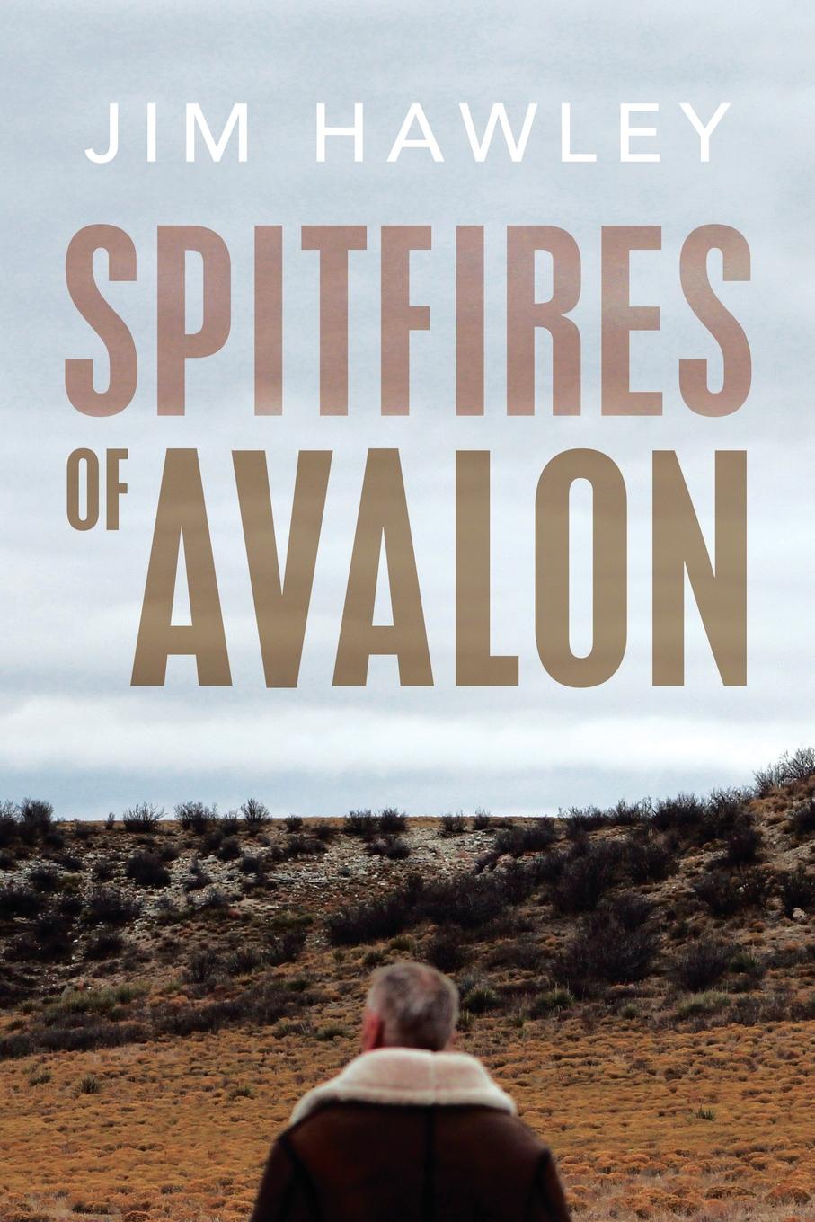 Jim Hawley Spitfires of Avalon