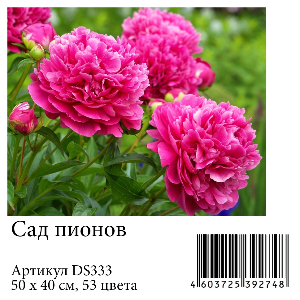 фото Алмазная мозаика Яркие Грани "Сад пионов" (DS333), размер 50х40см, 53 цвета