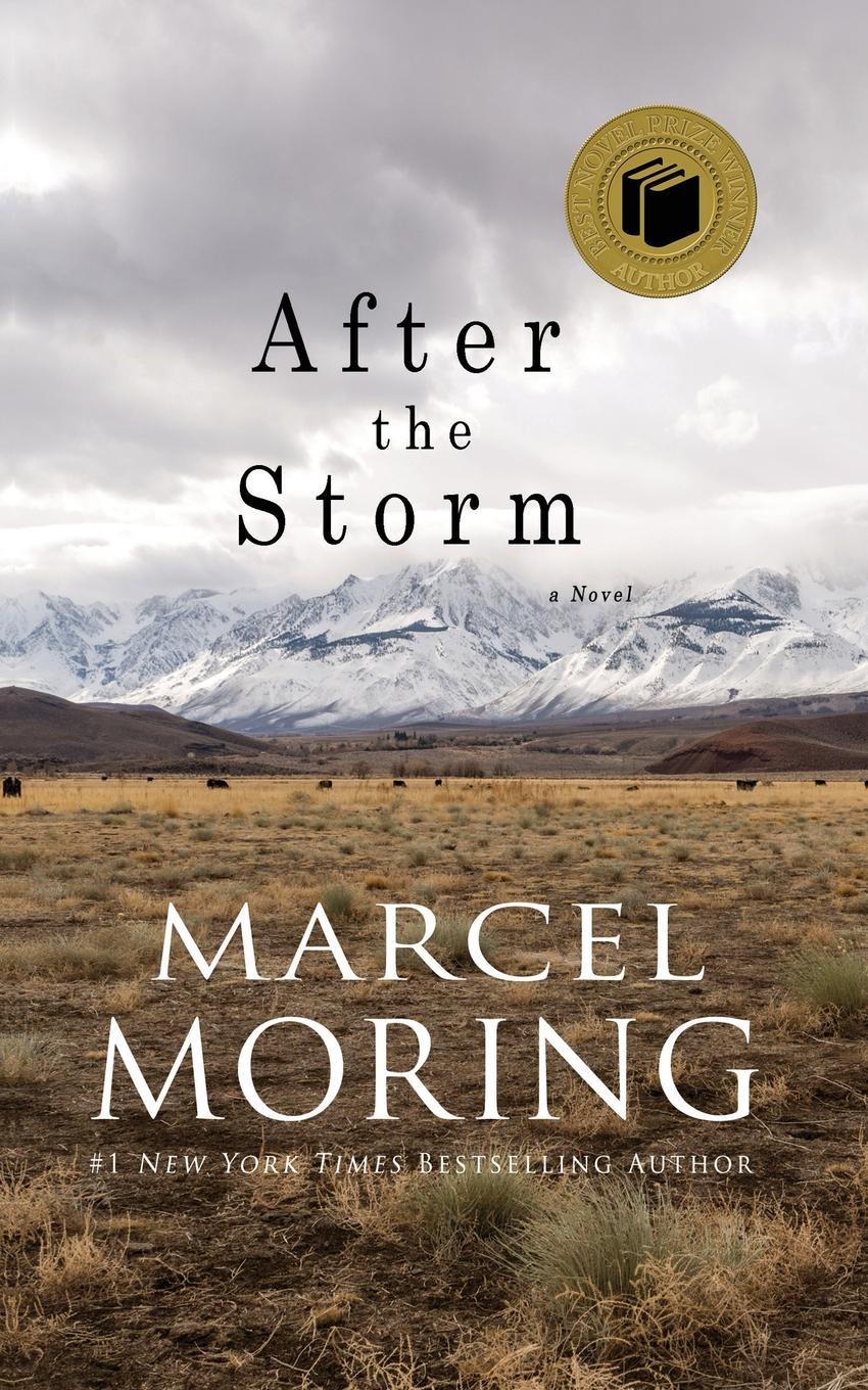 After the Storm. A Novel