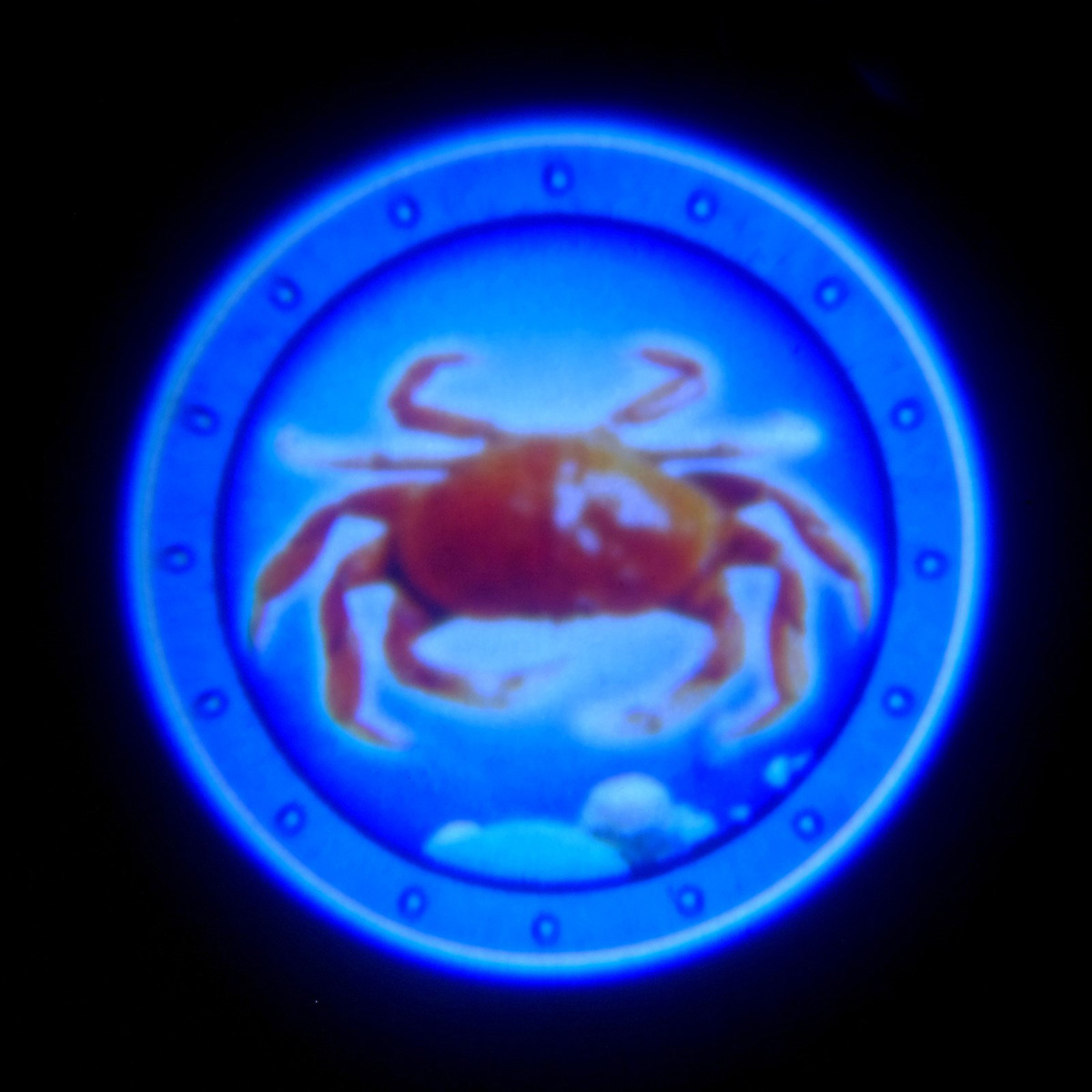 фото Игрушечное оружие Пистолет-проектор Zabiaka Подводный мир, 3243647