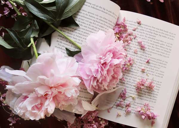 Фаина: значение имени, происхождение и тайна судьбы, которая вас удивит