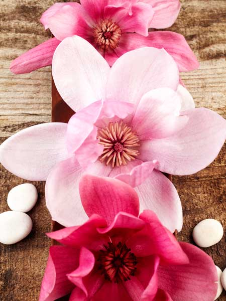 фото Картина Экорамка Розовые цветки, Холст