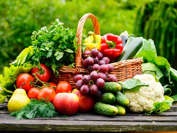 фото Картина Экорамка Корзина с овощами, Холст