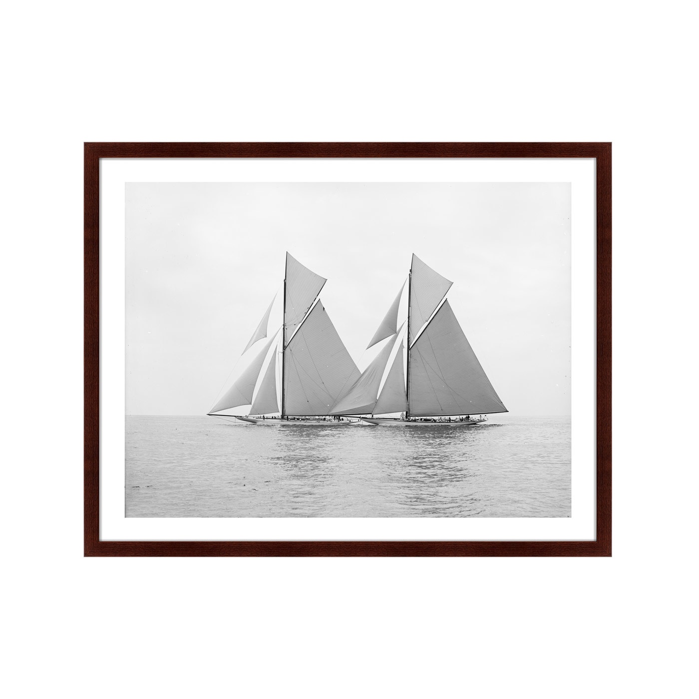 фото Картина Картины В Квартиру Яхты Релайнс и Шемрок Третий (регата), 1904г, Бумага